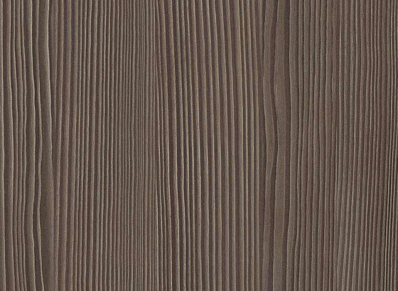 Фотография Сосна авола коричневая