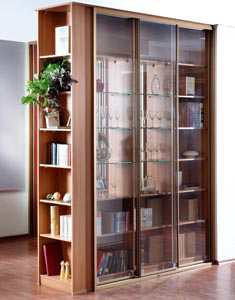 Книжный шкаф со стеклянными дверцами